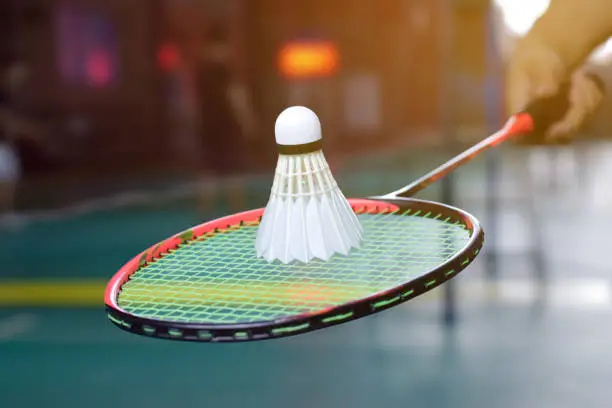 Photo of Badminton Sports