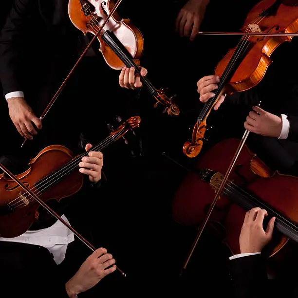 "String quartetViolin,viola, and celloMy other photo and video files on music and dance theme"
