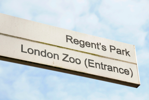A sign pointing towards the entrance of London zoo and Regent's park.See more zoo signs here: