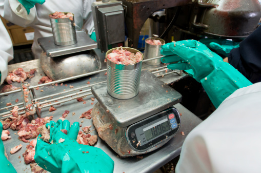 Pork being weighed to ensure the proper amount has been put into the can during the filling process of a manual food production line.