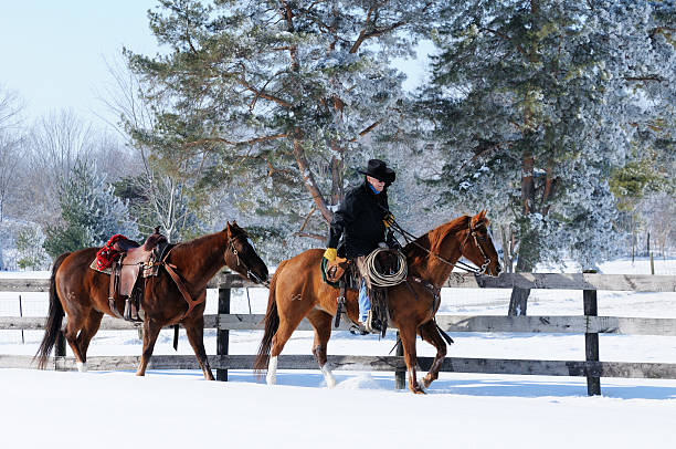 istock Cowboy leading a horse in Snow 183869836