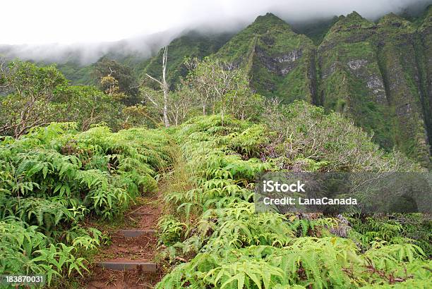 Photo libre de droit de De Randonnée Dans Les Îles De Hawaï banque d'images et plus d'images libres de droit de Aiguille rocheuse - Aiguille rocheuse, Arbre, Beauté de la nature