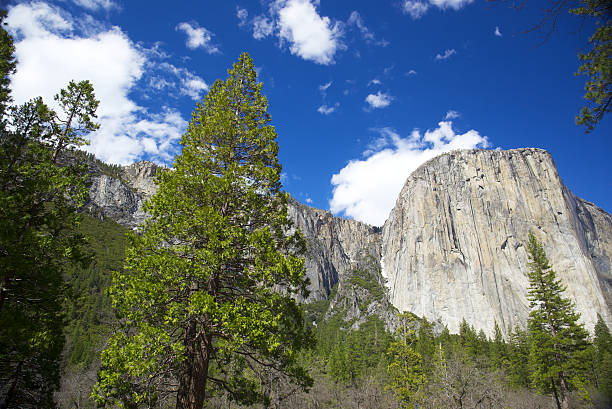 istock Rock Face Yosemtie national Park 183870184