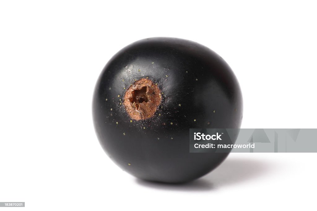 Schwarze Johannisbeere isoliert auf weiss - Lizenzfrei Schwarze Johannisbeere Stock-Foto