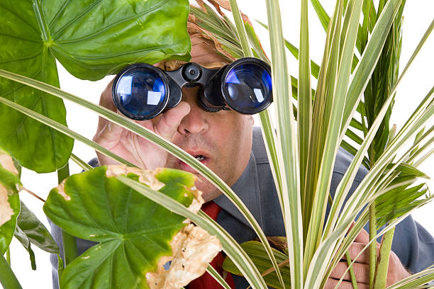 istock Nosy Business Man 183870392