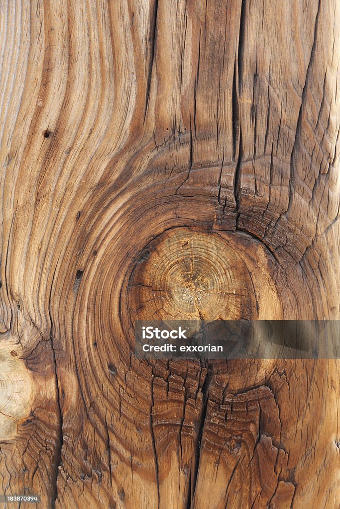 Древесина узлом - Стоковые фото Lenticel роялти-фри