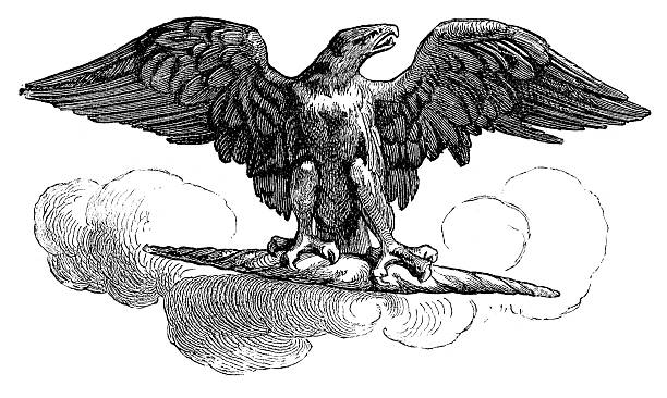Aquila - Roman Imperial Eagle "Vintage engraving from 1877 of a of an Aquila, the eagle standard of a Roman legion, carried by a special grade legionary known as an Aquilifer. One eagle standard was carried by each legion.++Inspector: Info about source material uploaded as property release++" aquila heliaca stock illustrations