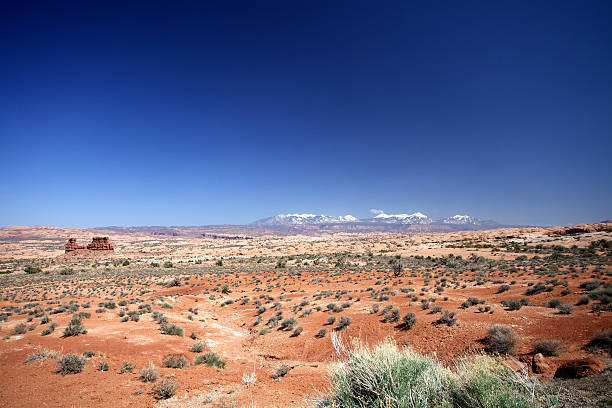 istock Desert Landscape with Mountains 183871327