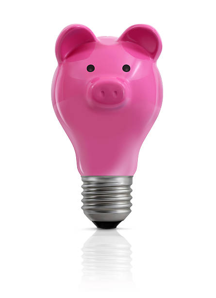 Piggy Bank Light Bulb