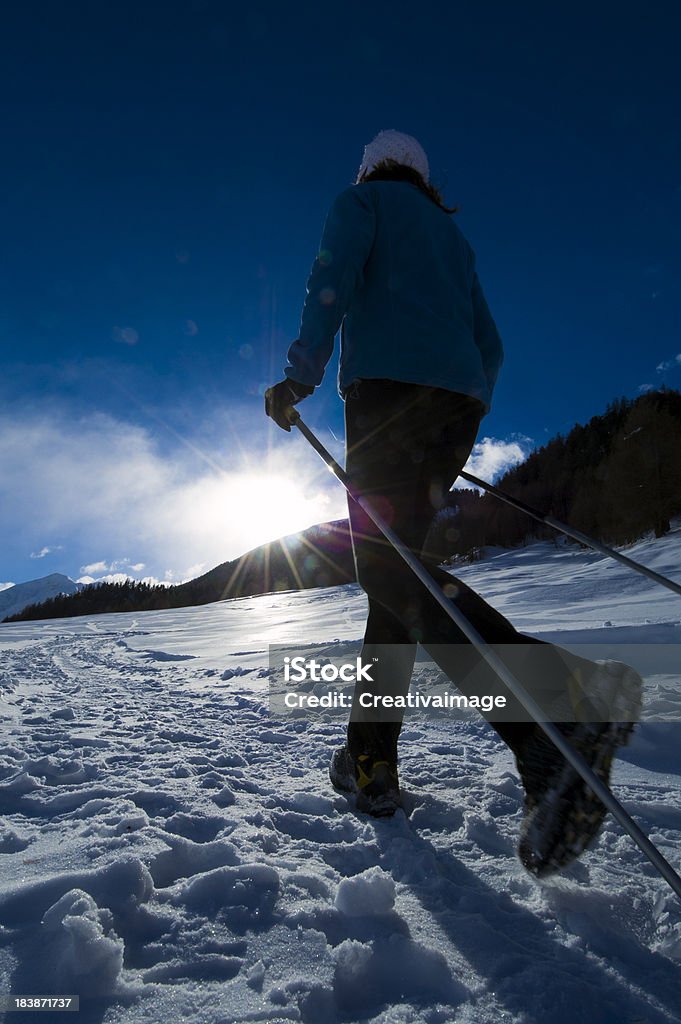 Nordic walking w zimie - Zbiór zdjęć royalty-free (Aktywny tryb życia)