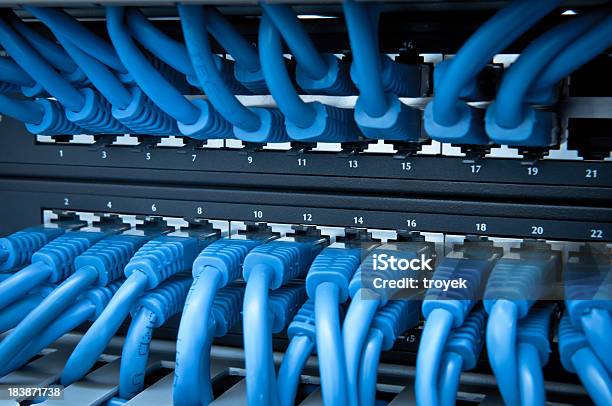 Network Hub And Cable Stock Photo - Download Image Now - Cable, Macrophotography, Network Connection Plug