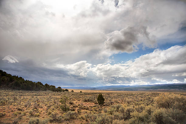 céu dramático sobre a paisagem do deserto - hroizontal - fotografias e filmes do acervo