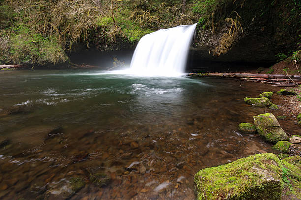 Superior Butte Creek Falls - foto de stock