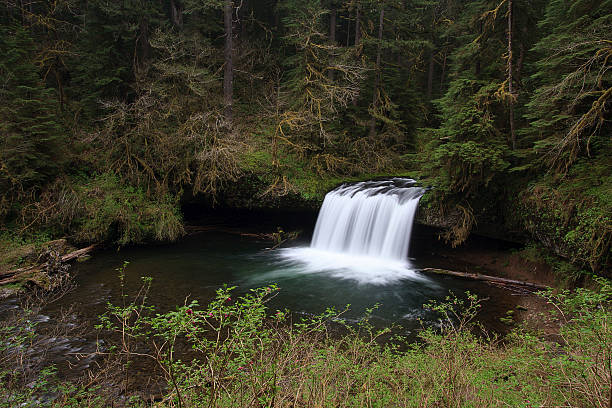 Superior Butte Creek Falls - foto de stock