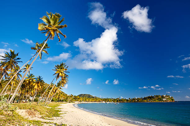 istock Perfect Caribbean Beach With Deep Blue Sky 183872300