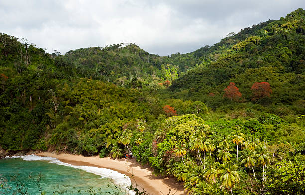 An overhead view of Englishman's Bay  on Tobago's north coast.