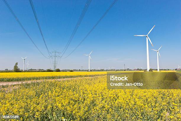 High Voltage Power Line Stockfoto und mehr Bilder von Hochspannungsmast - Hochspannungsmast, Feld, Stromleitung