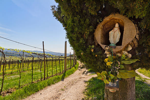 santuario de los viñedos - verona italy veneto europe day fotografías e imágenes de stock