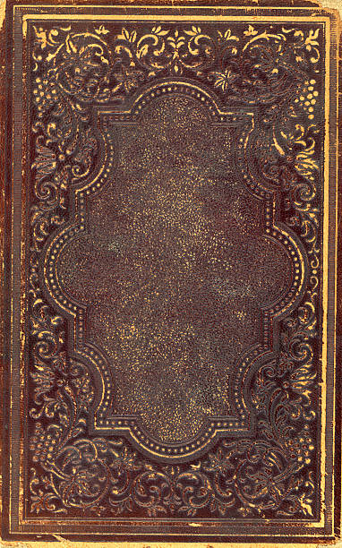 istock Damaged old book cover 183873119
