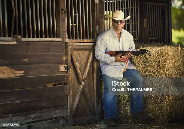Farmer Sostiene Una Lucha De Gallo Foto de stock y más banco de imágenes de Adulto - Adulto, Agarrar, Agricultor