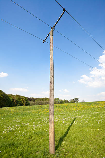 istock Power pole on green grass in front of cloudy sky 183873358
