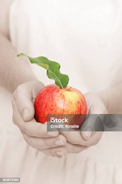 Gesunden Apple Stockfoto und mehr Bilder von Apfel - Apfel, Apfelsorte Gala, Einfachheit