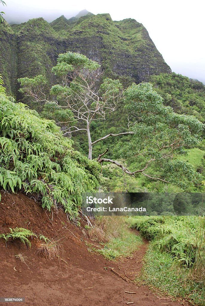 Sentier de randonnée à Oahu, Hawaï - Photo de Aiguille rocheuse libre de droits