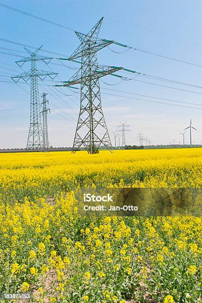 High Voltage Power Lines Stockfoto und mehr Bilder von Achtung Hochspannung - Achtung Hochspannung, Blüte, Canola