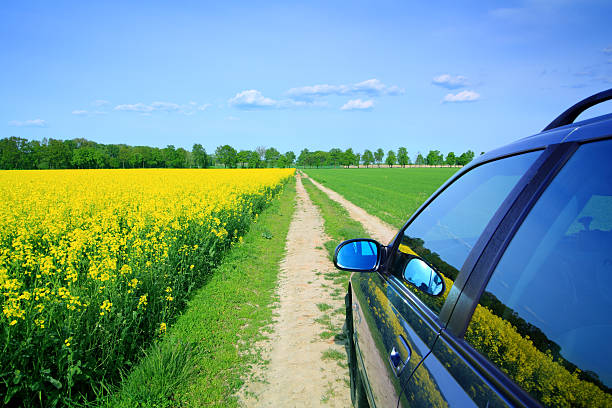 Car among the fields - country landscape stock photo