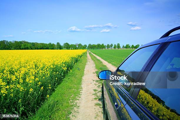 Car Among The Fields Country Landscape Stock Photo - Download Image Now - Car, Flower, Springtime