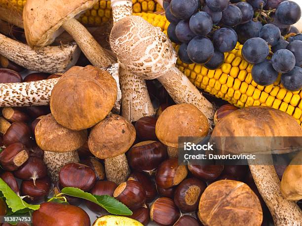 Foto de Alimentos Crus e mais fotos de stock de Alimentação Saudável - Alimentação Saudável, Boletus Piperatus, Casca de Noz