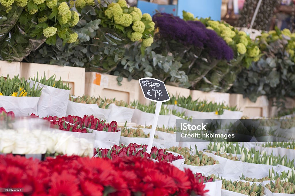 Tulipanes para la venta en Amsterdams mercado de flores - Foto de stock de Cabeza de flor libre de derechos