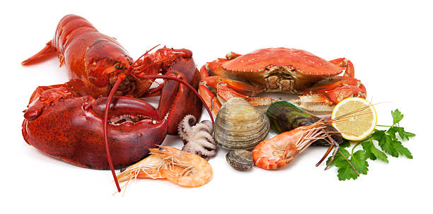 Seafood variety Variety of fresh lobster, crab, shrimp, prawn, clam, mussel and octopus with lemon and parsley garnish. crustacean stock pictures, royalty-free photos & images