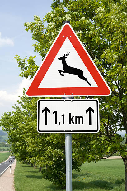 istock Deer crossing sign - next 1.1 kilometers 183875626