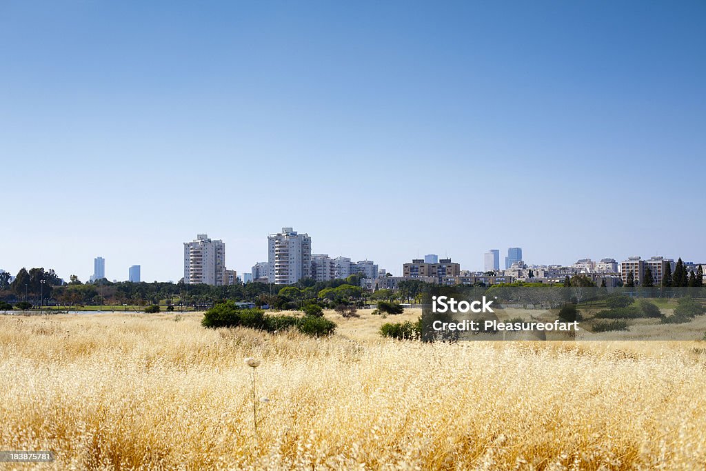 Città sul horizont - Foto stock royalty-free di Città