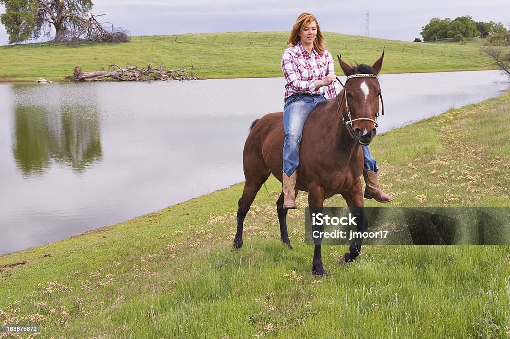 Girl Bareback de caballos - Foto de stock de Caballo - Familia del caballo libre de derechos