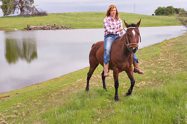 девушка bareback на лошади - bareback стоковые фото и изображения