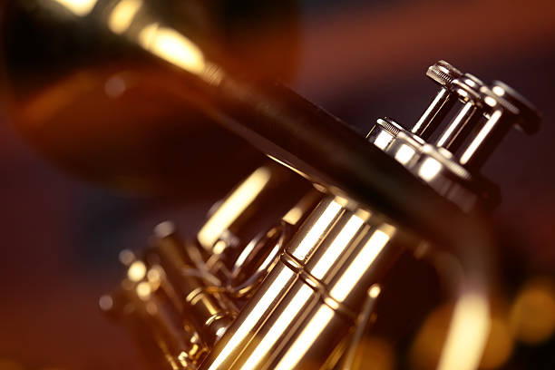 istock Trumpet in a bar 183876218