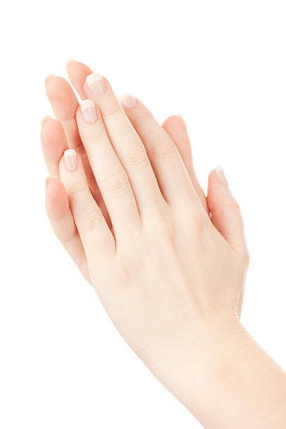 istock Manicure: beautiful female hands on white 183876824