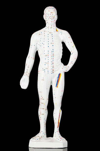 Acupuncture model Male acupuncture model with all acupuncture points. Black background. acupuncture model stock pictures, royalty-free photos & images