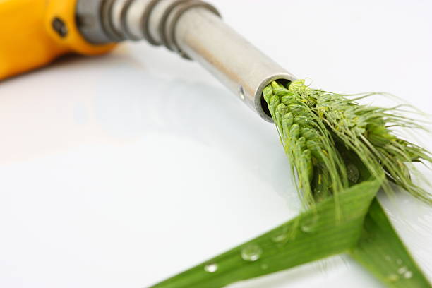 Eco fuel concept with wheat coming out of a gas pump Leaves pouring out of a gas pump nozzle. biofuel photos stock pictures, royalty-free photos & images