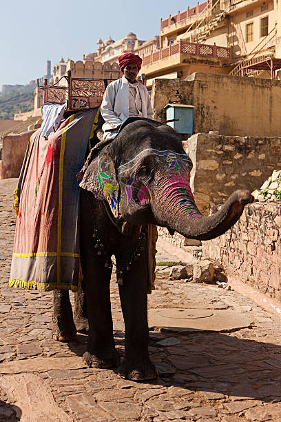 istock Elephant in Amber Fort, Jaipur, India 183877947