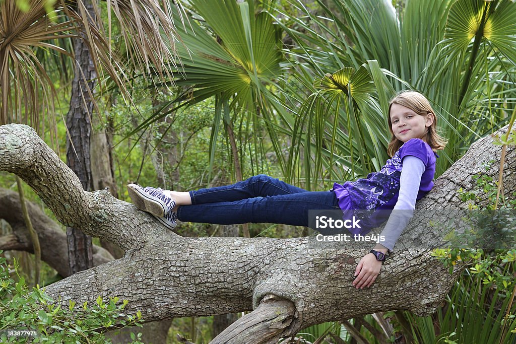 Prélasser dans un arbre - Photo de 10-11 ans libre de droits