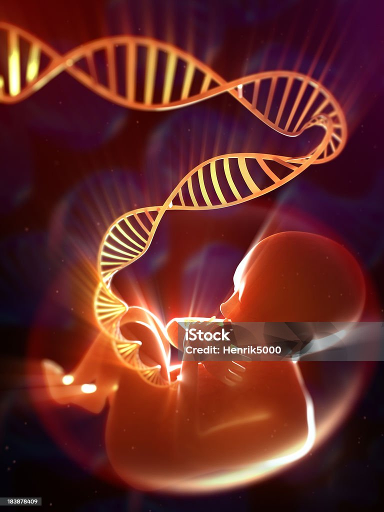 Com cordão umbilical Feto de DNA - Foto de stock de Feto - Estágio Humano royalty-free