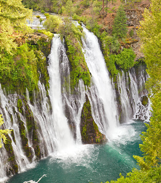 Burney Falls, California "Square composite (2 images stitched) of Burney Falls shortly before sunset. Burney Falls is in McArthur-Burney Falls Memorial State Park, Shasta County, California." burney falls stock pictures, royalty-free photos & images