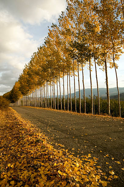 entrance to domain combret winery in the okanagan valley british columbia