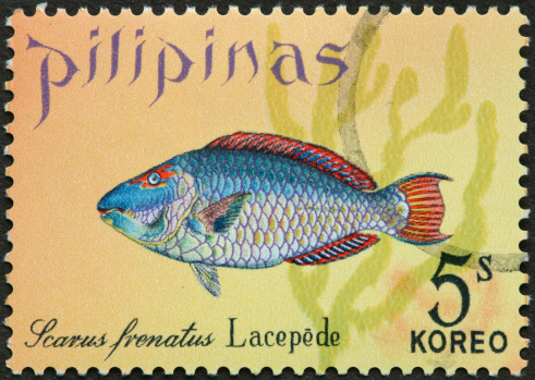 scaly fish on a Philippine postage stamp