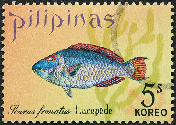 Photo of scaly fish on a Philippine postage stamp