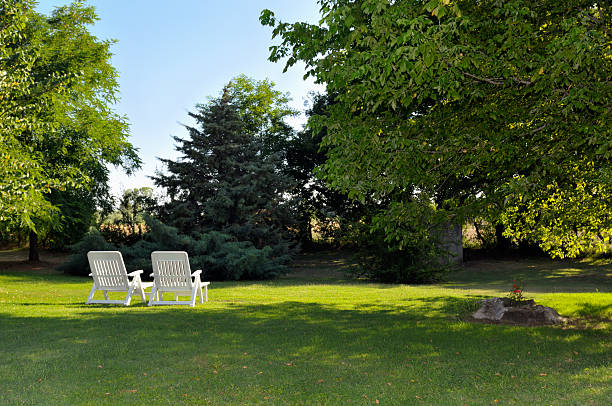 istock Two chairs in a lush garden 183879512