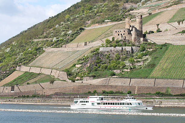 Castle Ehrenfels in vineyards with cruise ship on river Rhine